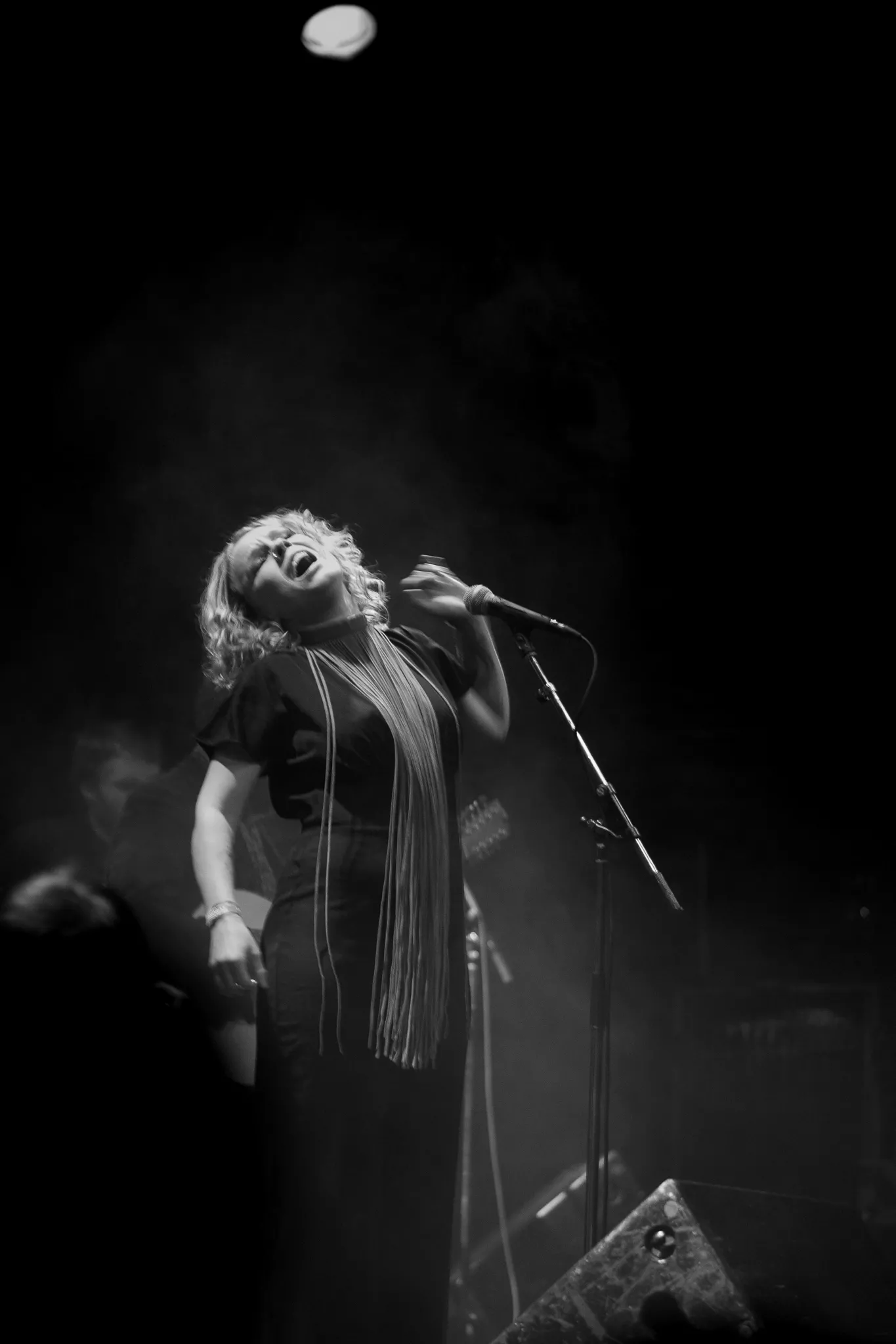 REPORTAGE: Som kvæg på forårets græs 