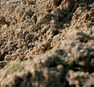 Grav et hul i jorden på Roskilde