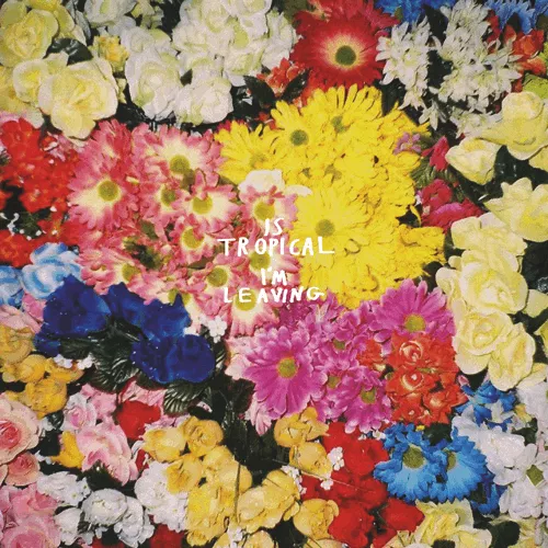 I'm Leaving - Is Tropical