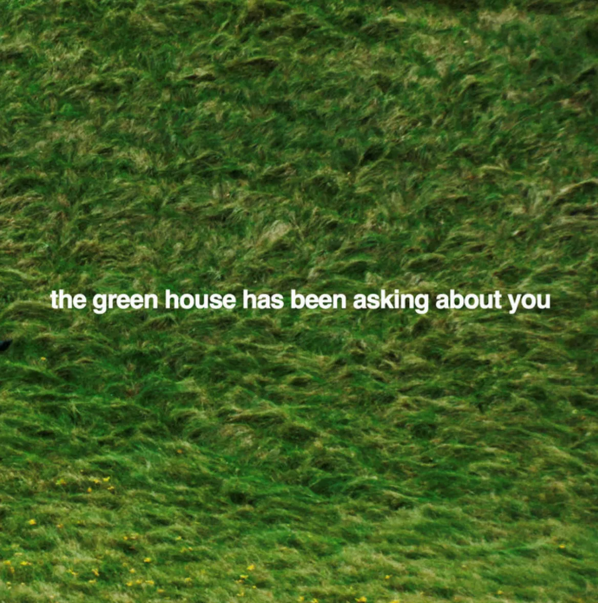 The Green House Has Been Asking About You - Polite