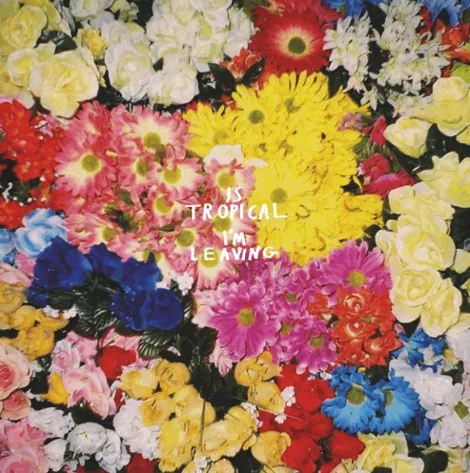 I'm Leaving - Is Tropical