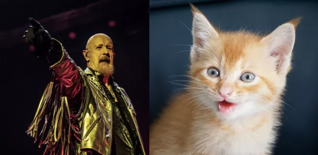 Rob Halford döper kattungar och släpper bok – ”Kolla in de här busarna jag har kristnat i metal”