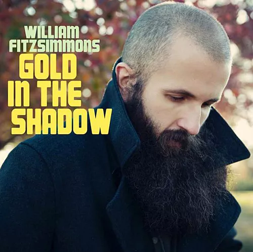 Gold In The Shadow - William Fitzsimmons