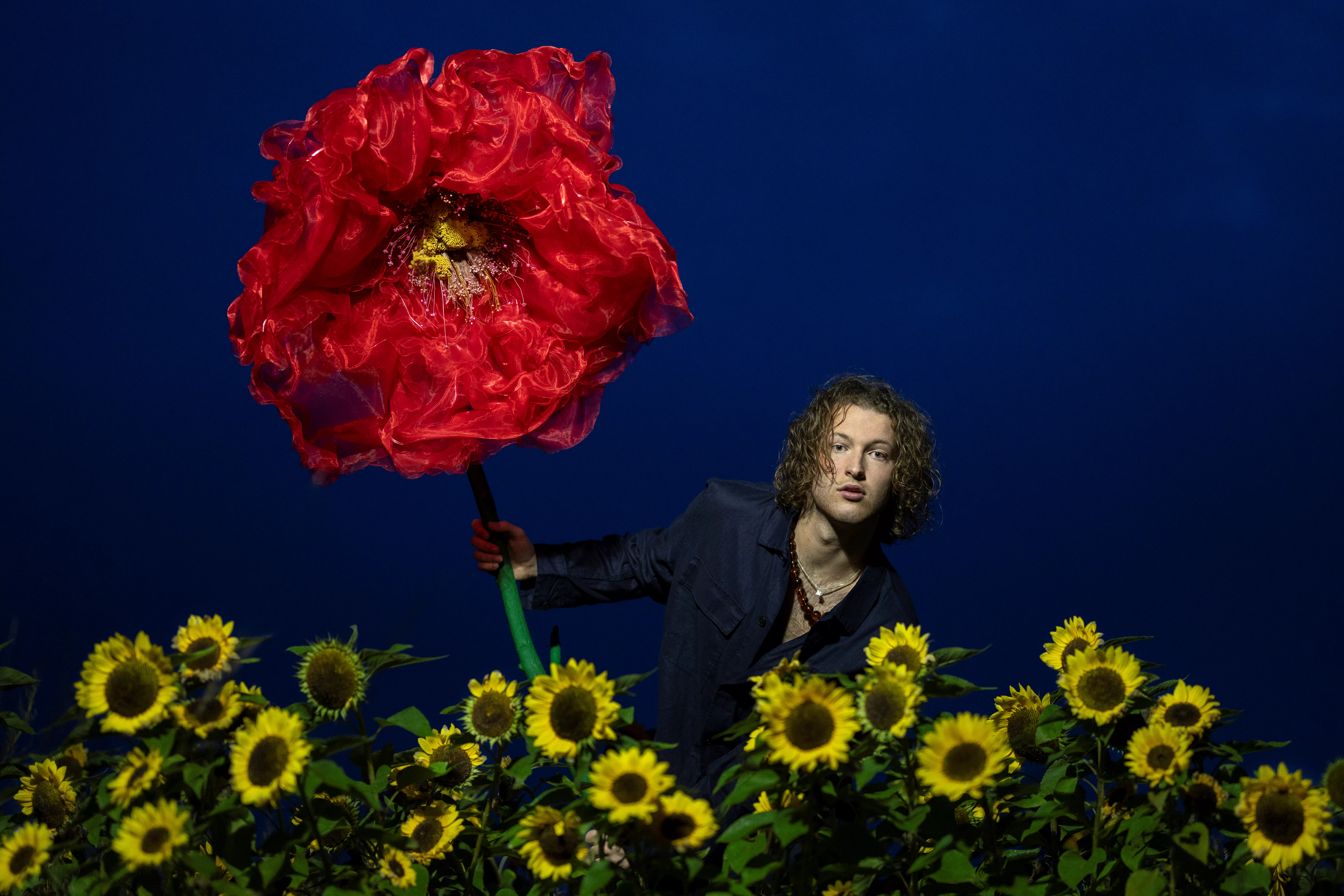 Et blomsterhav af international radiopop