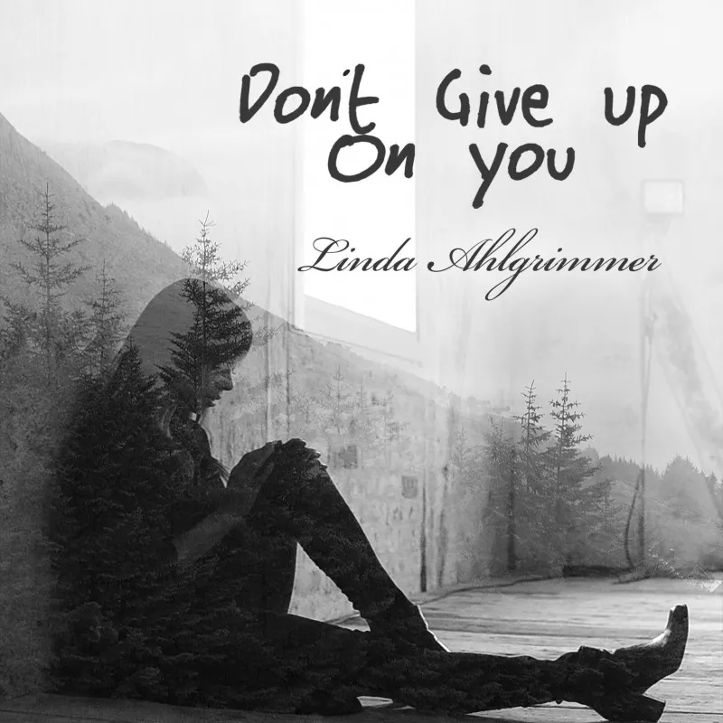 Don't Give Up On You - Linda Ahlgrimmer