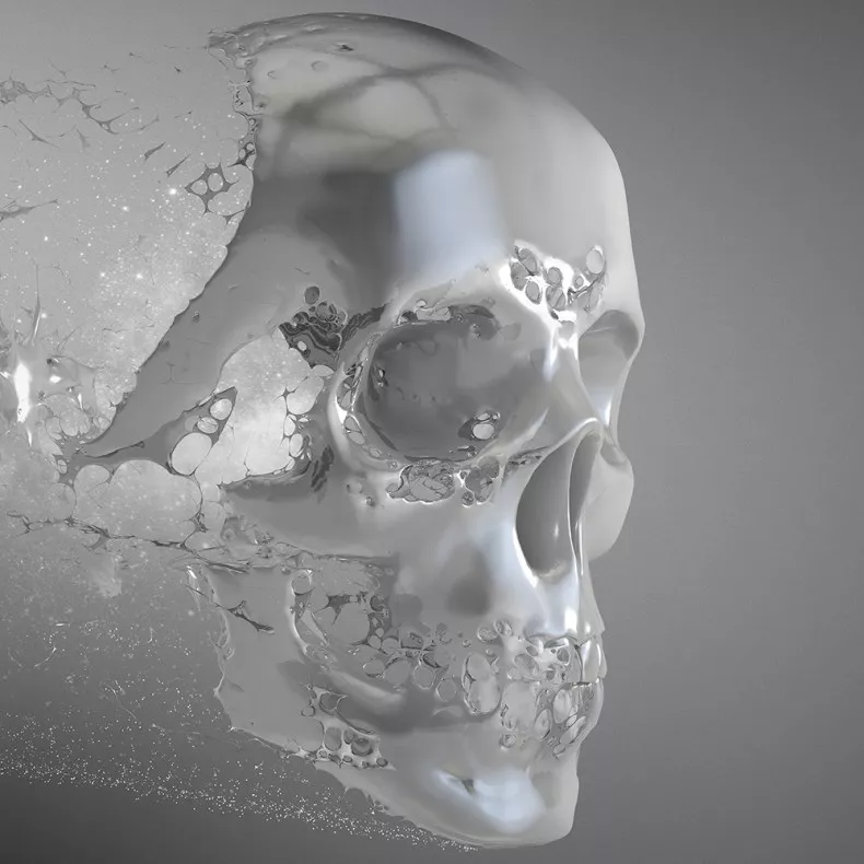 En introspektiv debut