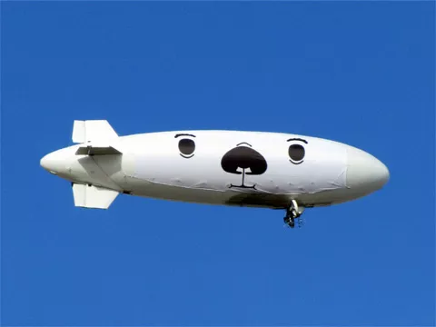 Den Svenska Björnstammen släpper lös zeppelinare