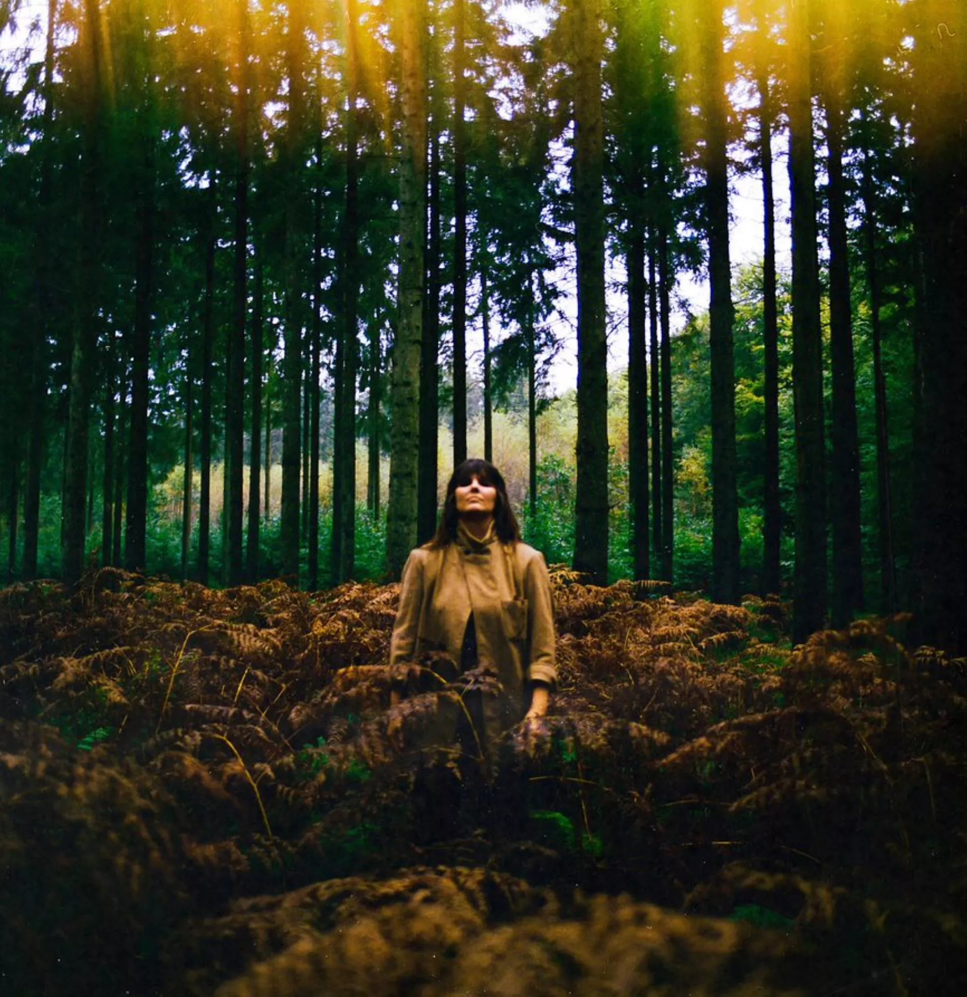 When Are We Out of the Woods? - Kajsa Vala