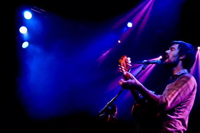 Bowerbirds – Samler tankerne i de amerikanske skove