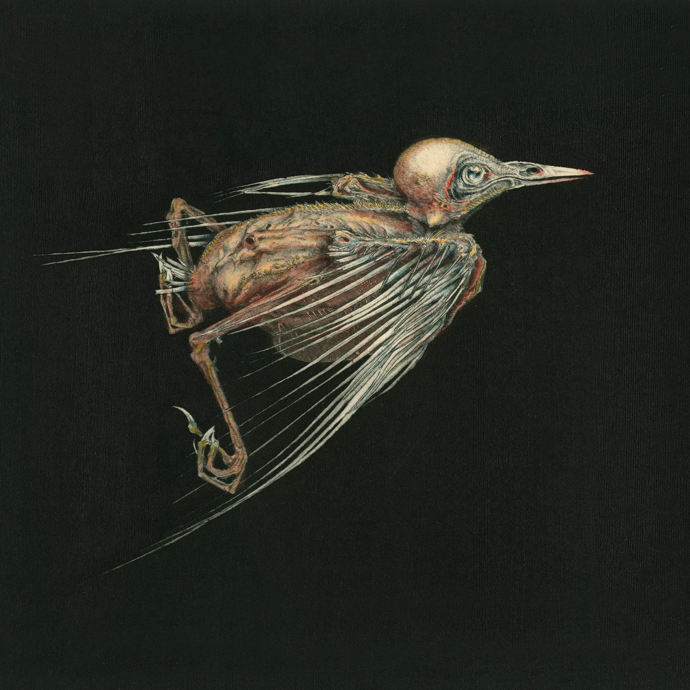 Meshes Of Voice - Jenny Hval & Susanna