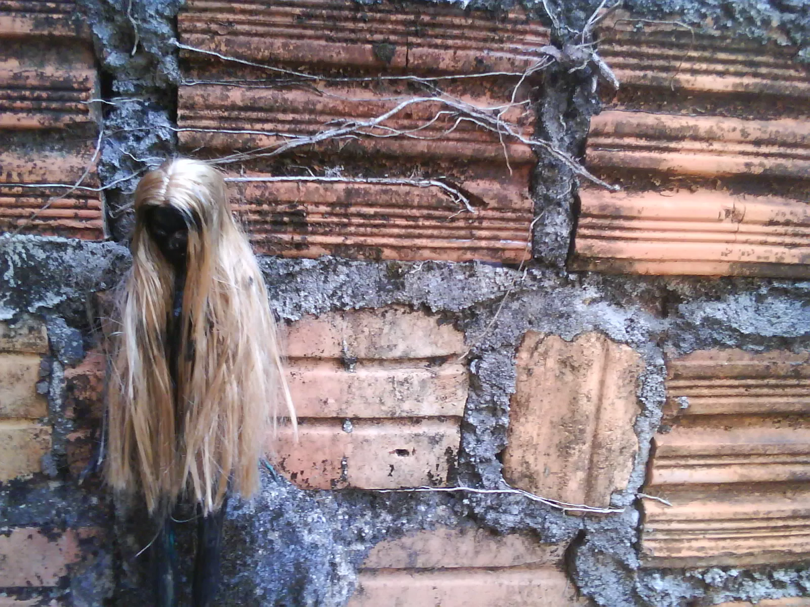 Fortsatt gåtfullt och dunkelt