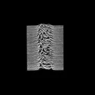 Joy Division-sko undervejs