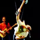 Pearl Jam sælger ny single fra hjemmeside