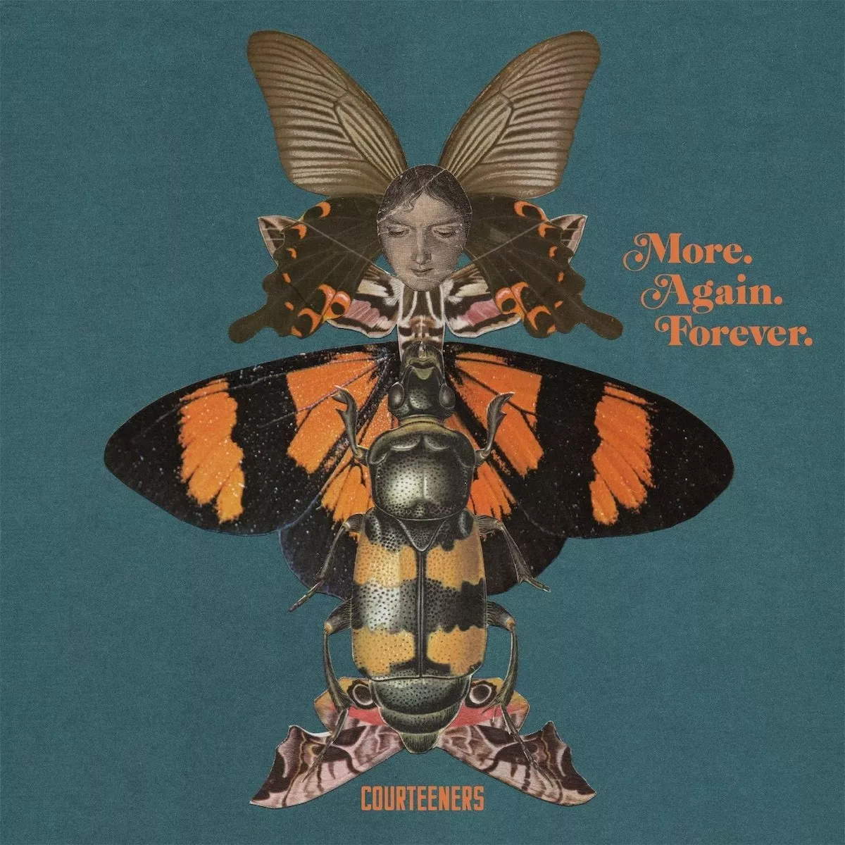 More. Again. Forever - Courteeners