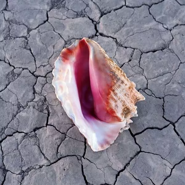 Flowers är återkomstens kryptonit