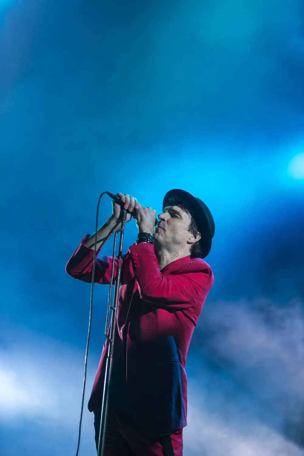 GUIDE: Veckans konsertmåsten