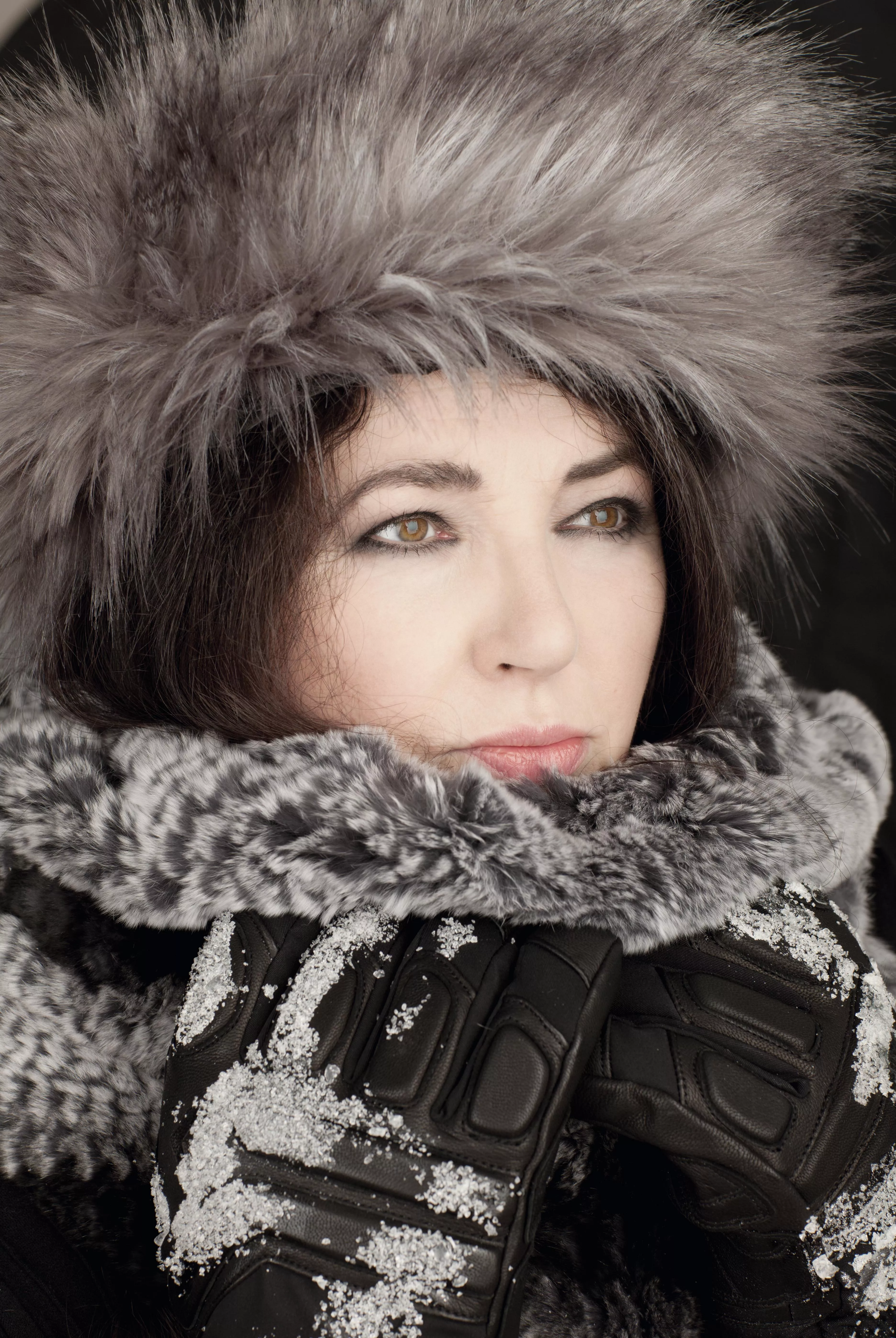 Kate Bush: Hellere studiet end koncerter