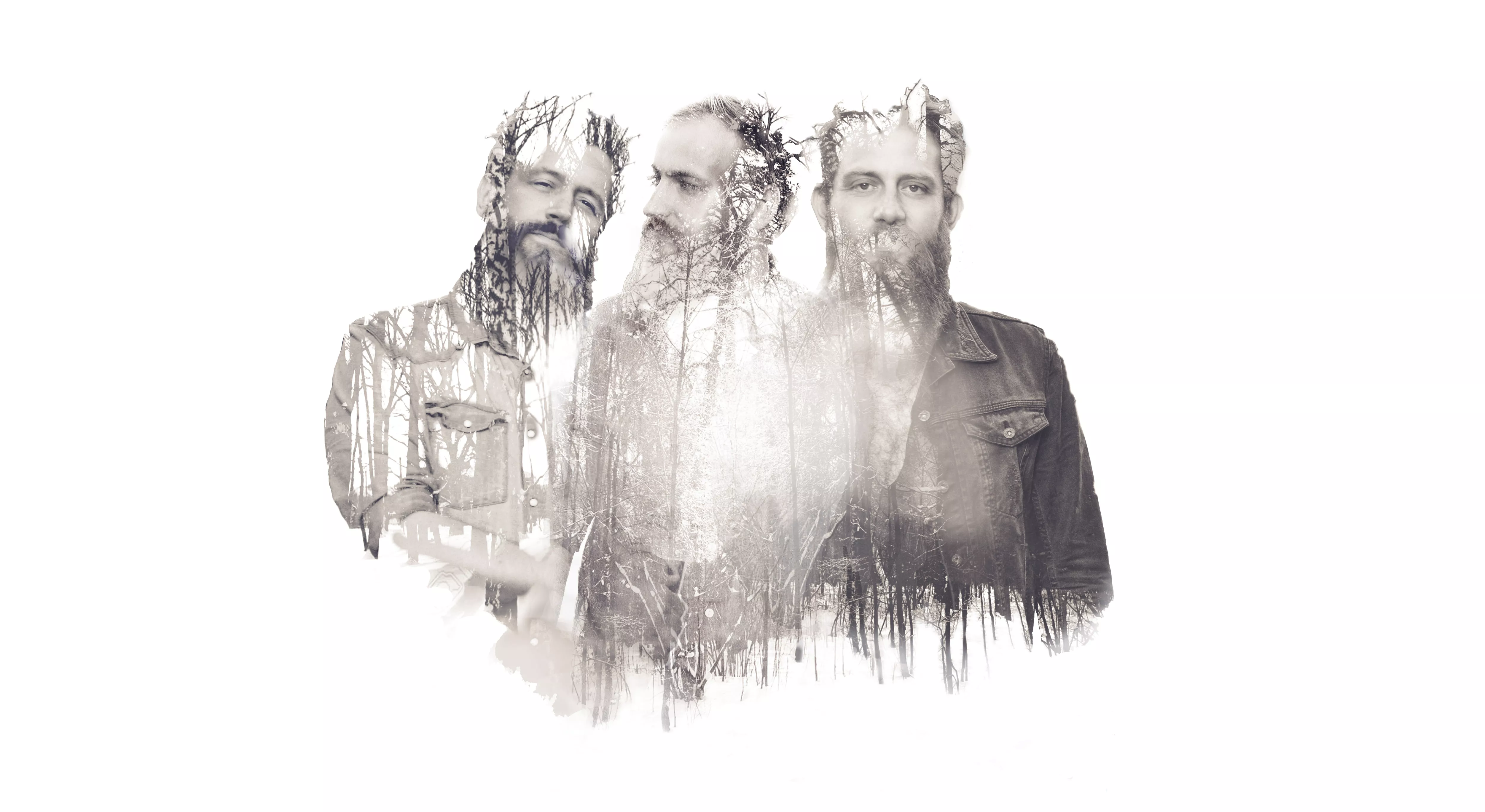 The White Album tager på efterårstour