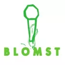 Blomst byder på musik og mad