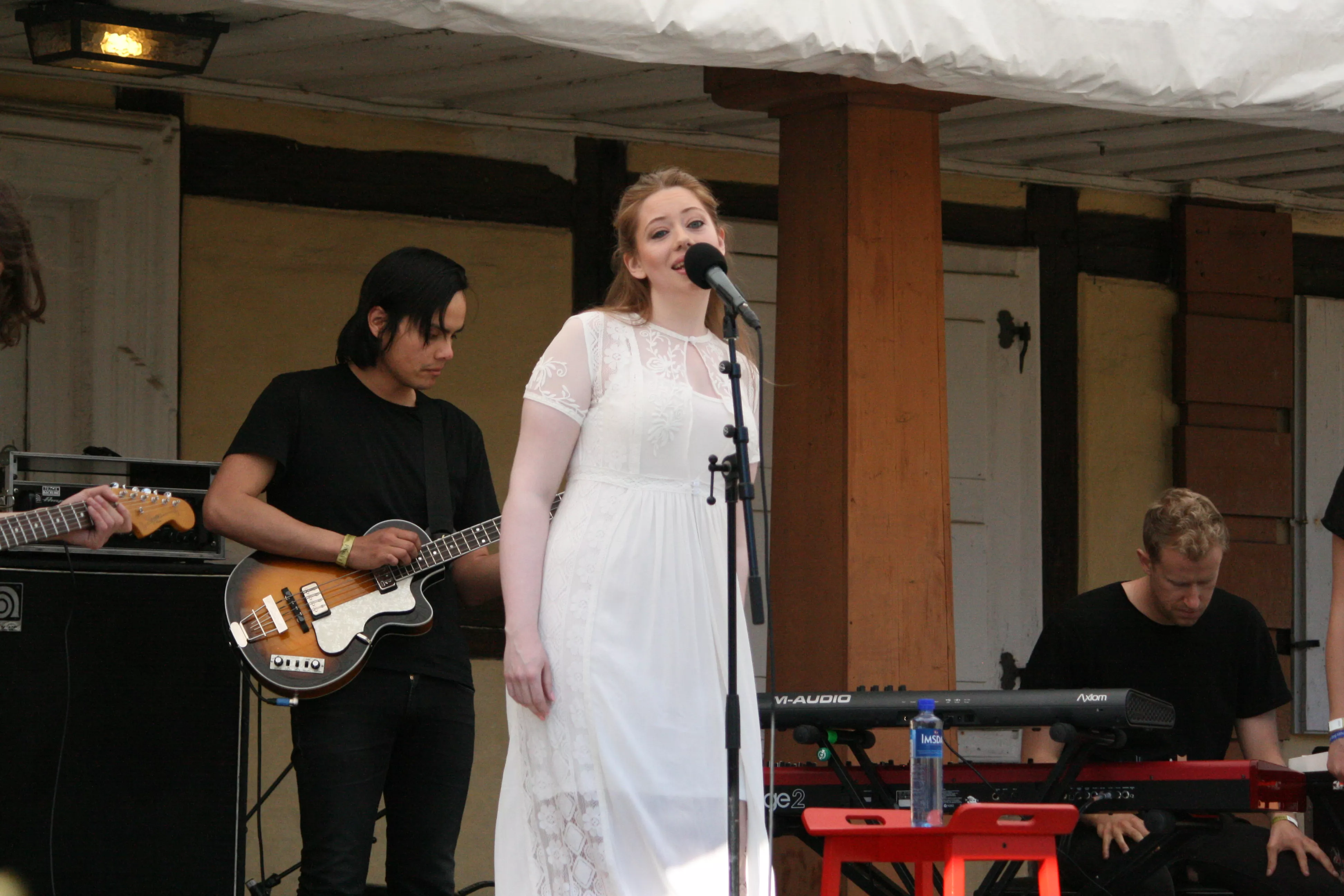 Anja Elena Viken: Bymuseet, Piknik I Parken