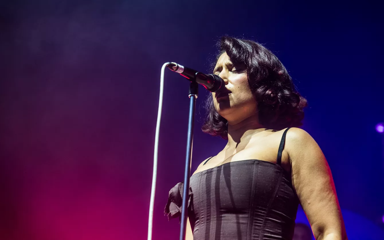 Det er derfor, vi går til koncerter