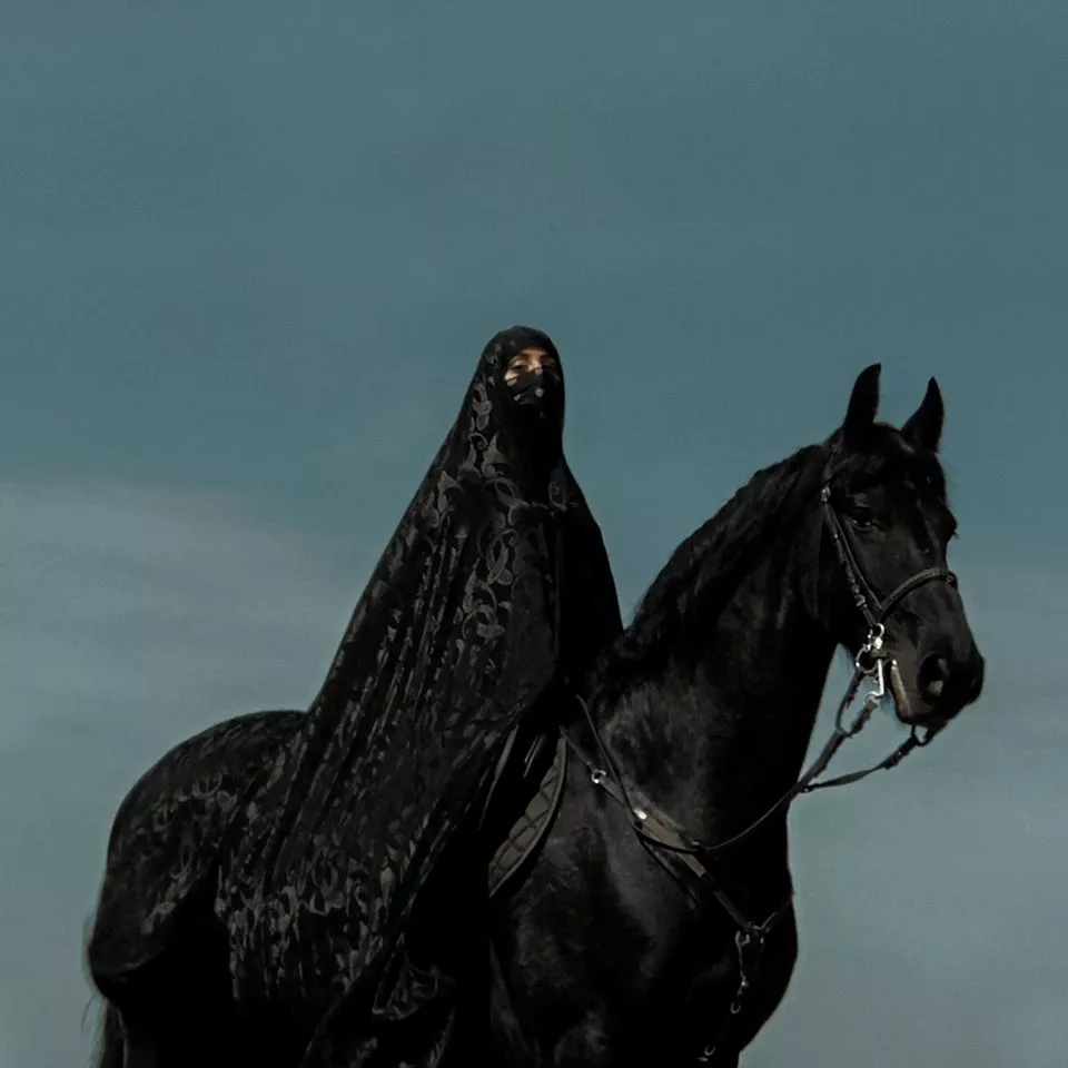 Svensk artist nekades inträde i USA