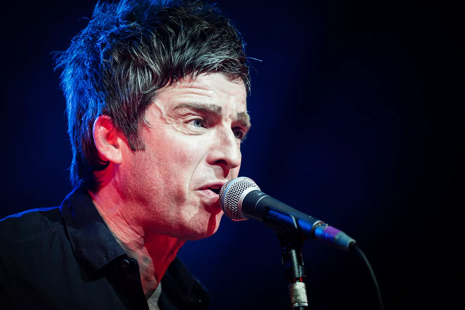 Diverse kunstnere: Store Vega, København V