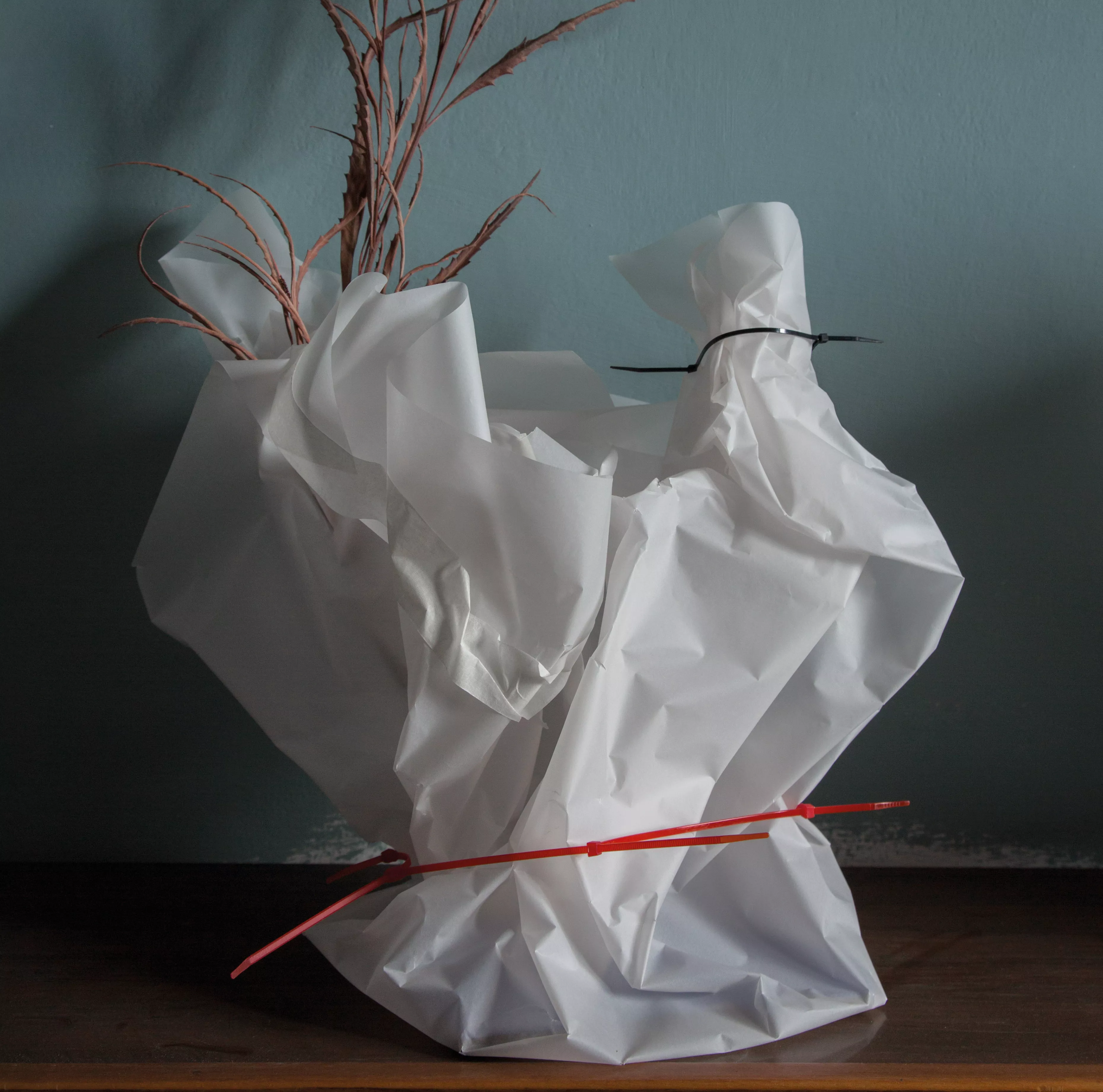 Ocean Letters - Hannah Schneider