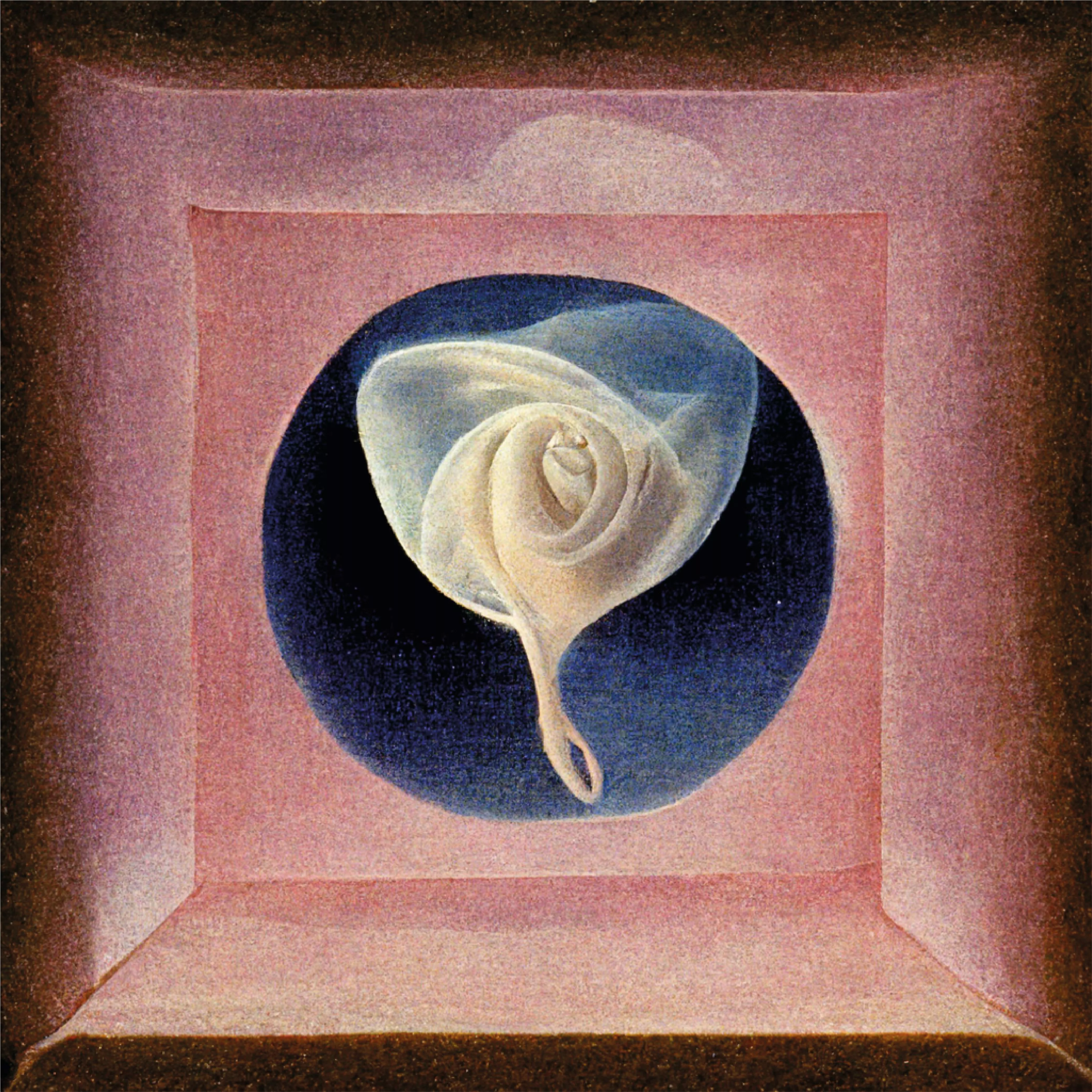 Breathwork - Laura Ziani