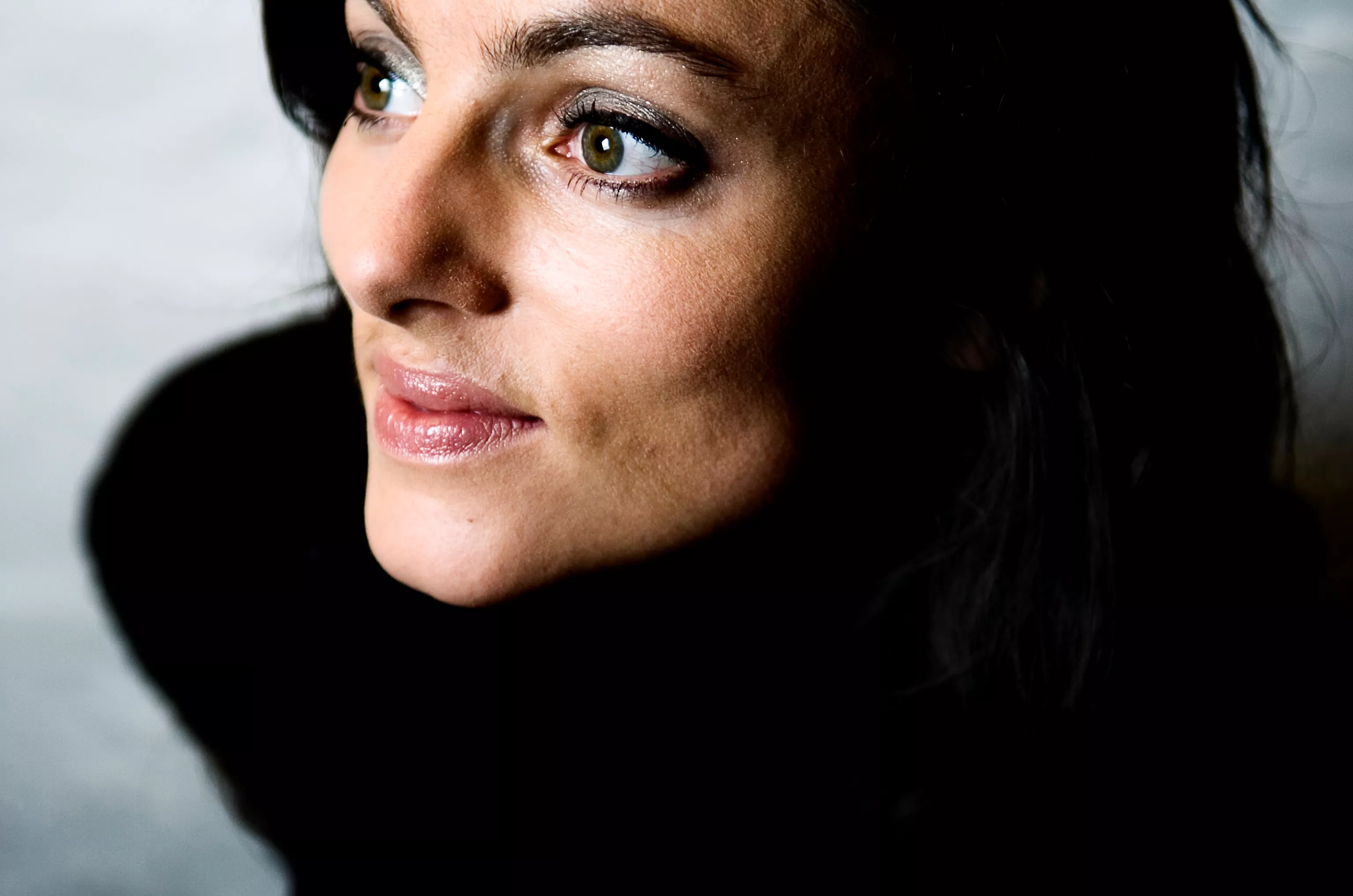 Nordisk råd nominerer