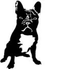 VUF/records holder fest når deres nye album udgives