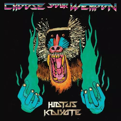 Choose Your Weapon  - Hiatus Kaiyote