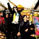 Humanzi tilbage i Danmark