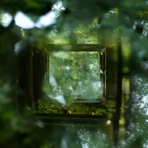 Cathedral Volume - Teen Beams