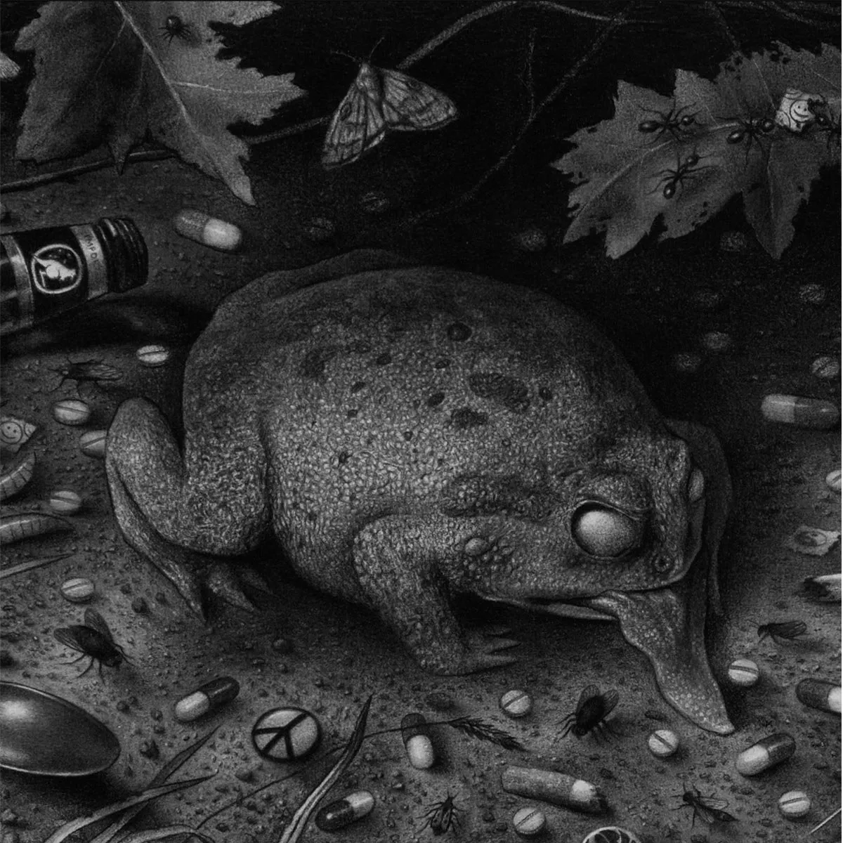 Ført Bak Lyset - Tusmørke