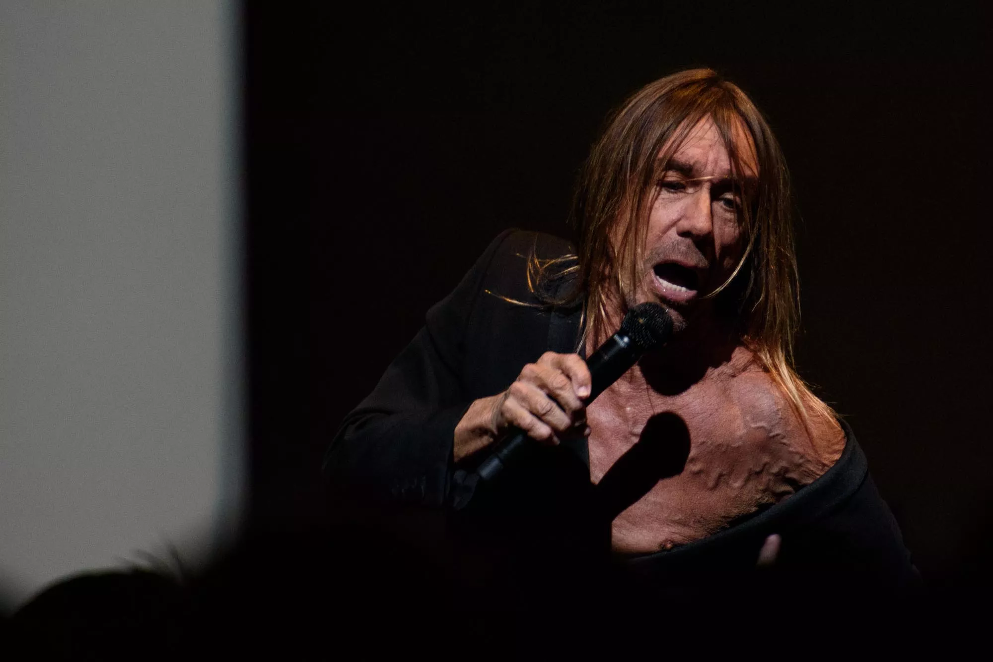 Iggy Pop 70 år – här är svenskarnas favoritlåtar