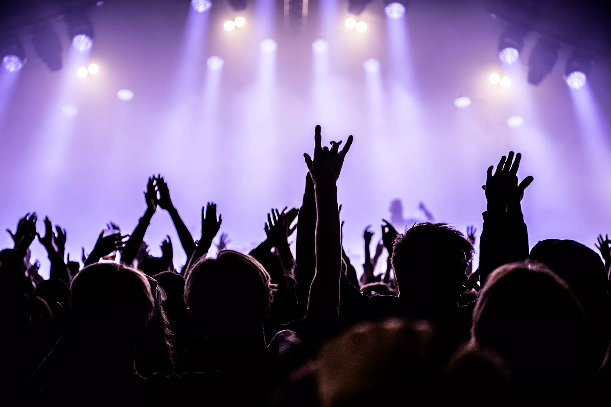 Ny, stor musikfestival i København