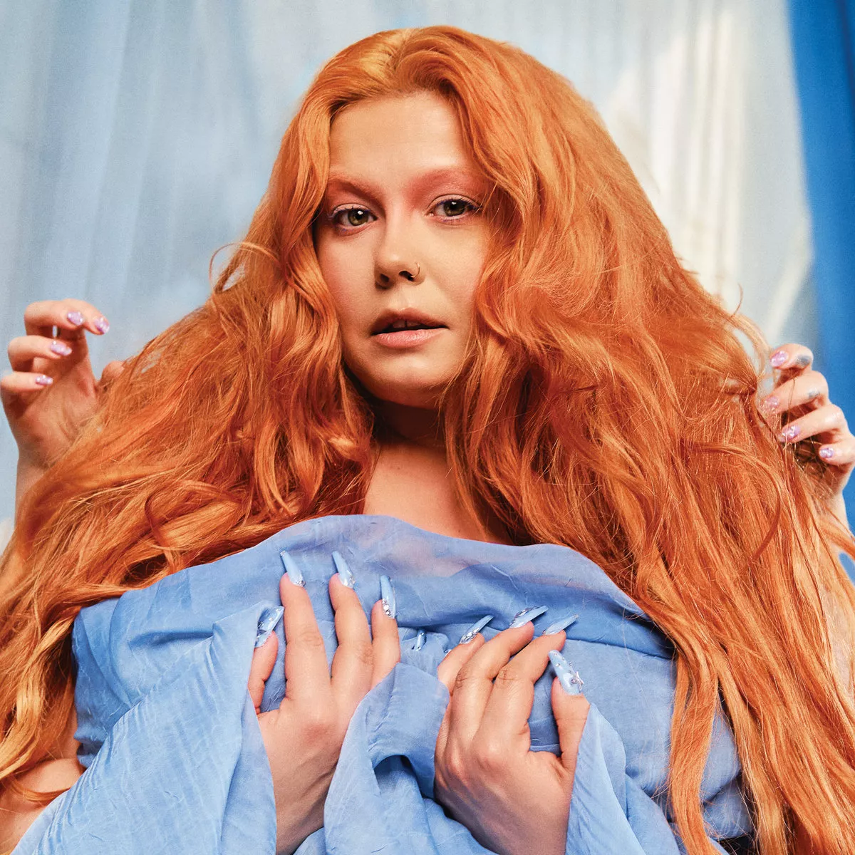 Powder Blue - Begonia