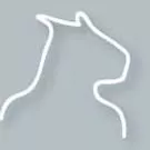 Steppeulven på ret kurs
