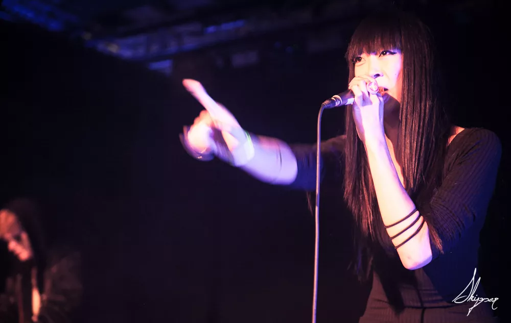 Diverse kunstnere: Newbees Festival, Studenterhus Aarhus