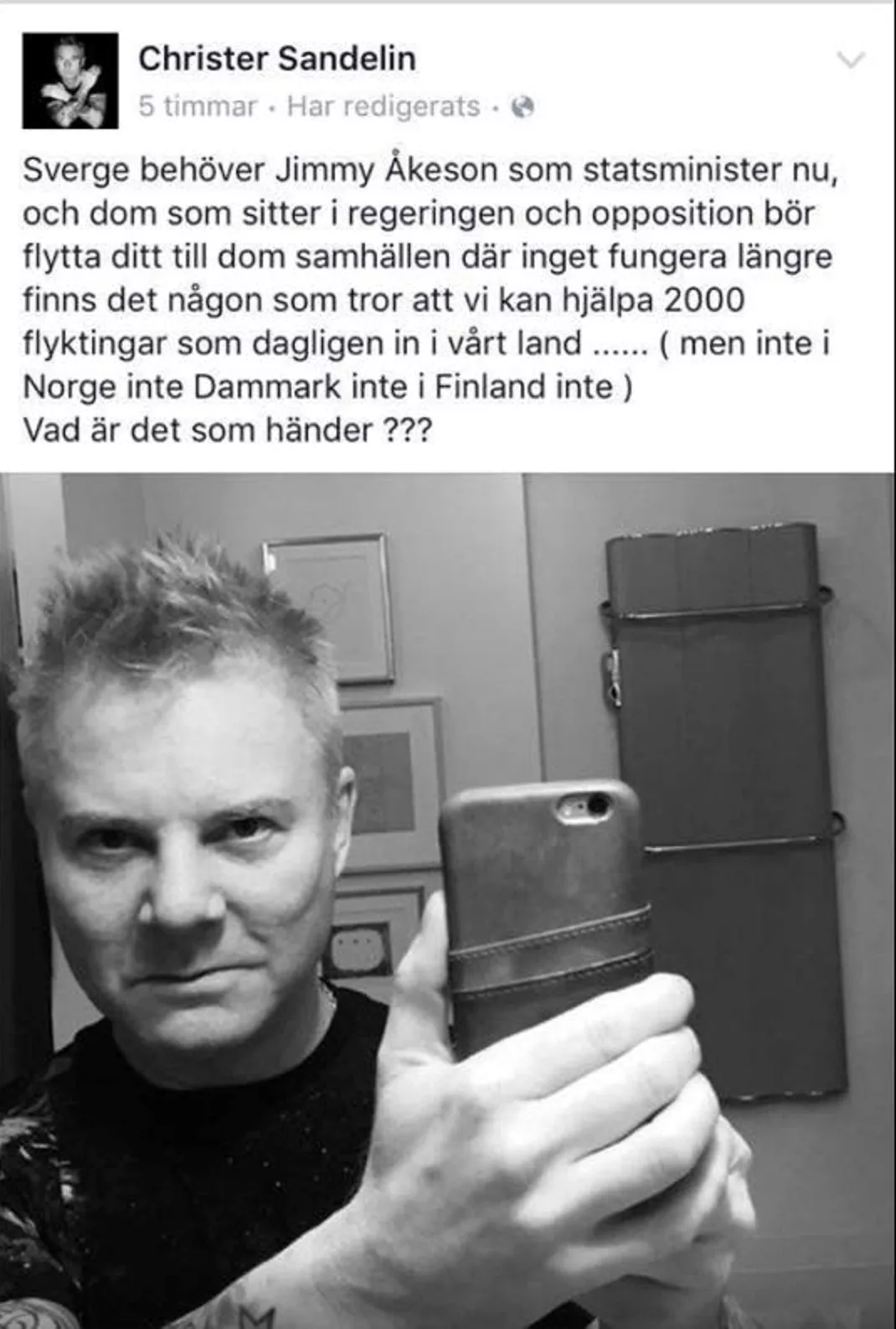 Svenske artisten: ''Sverige behöver Åkesson som statsminister''