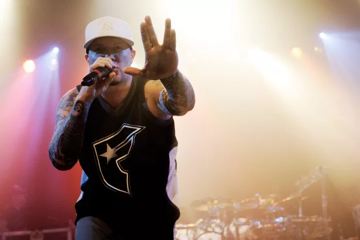 Limp Bizkit og diskoelefantene