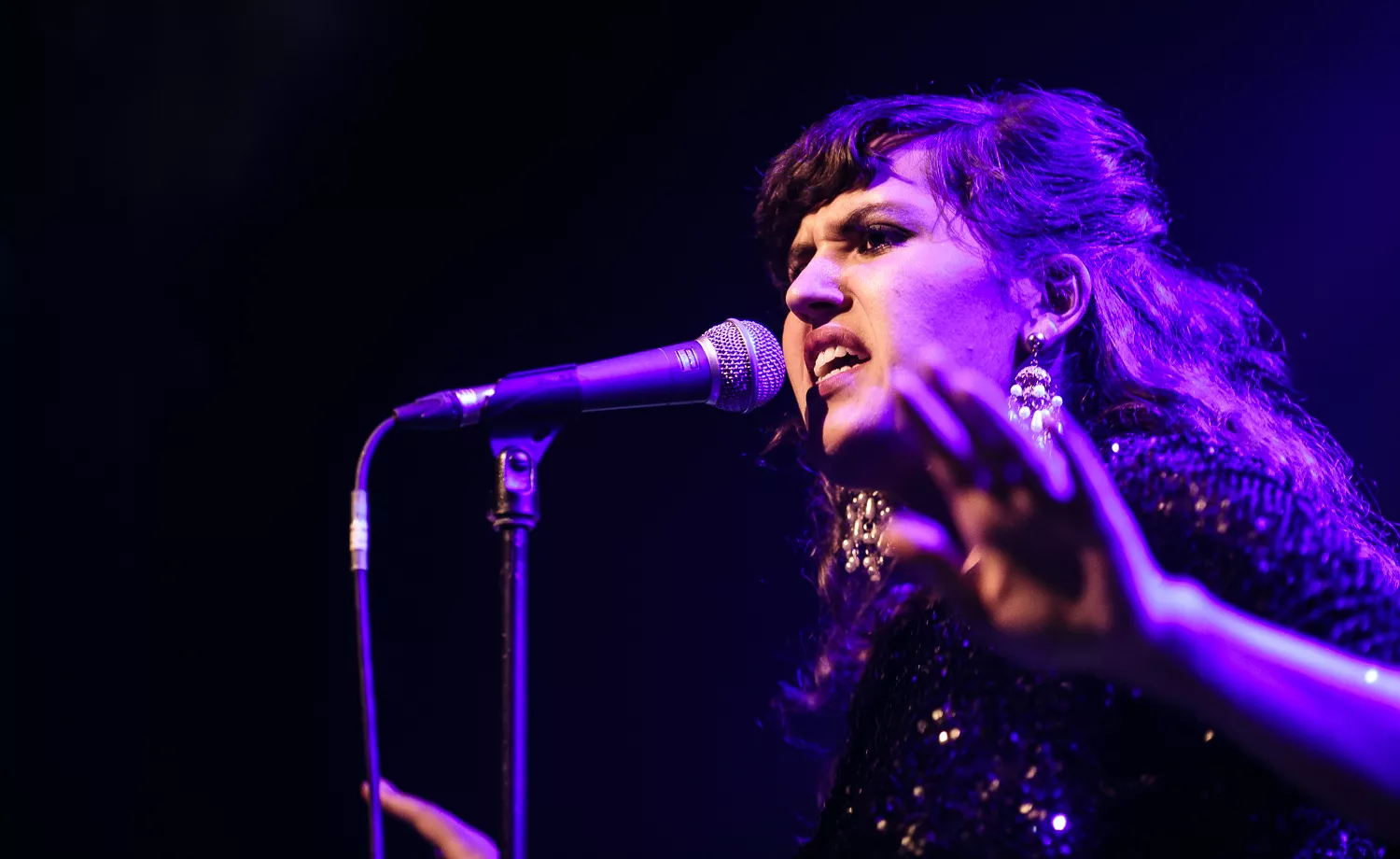 Se de nominerede til Steppeulven 2014 