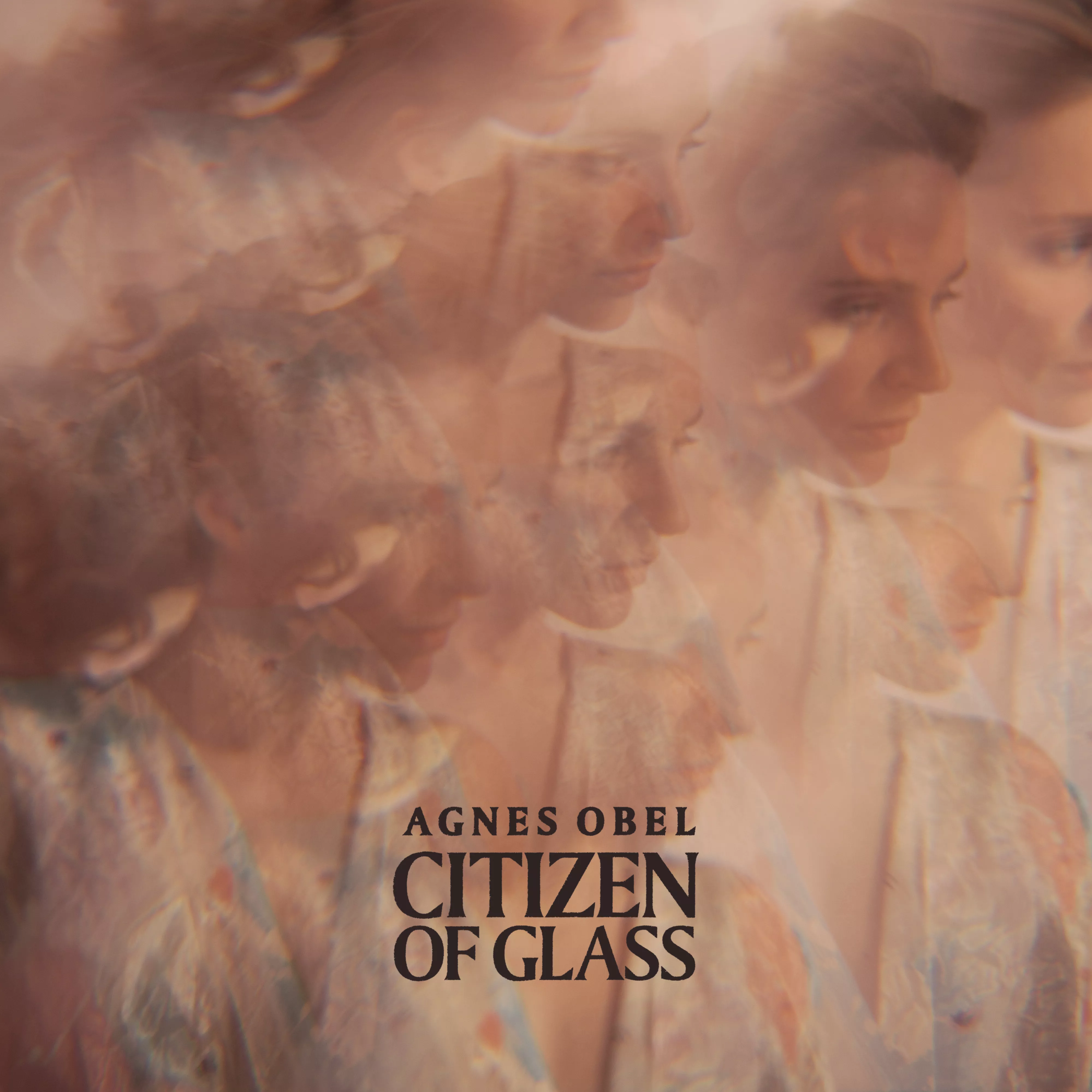 Citizen Of Glass - Agnes Obel