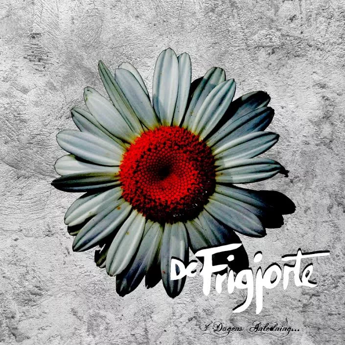 De Frigjorte uden friværdi