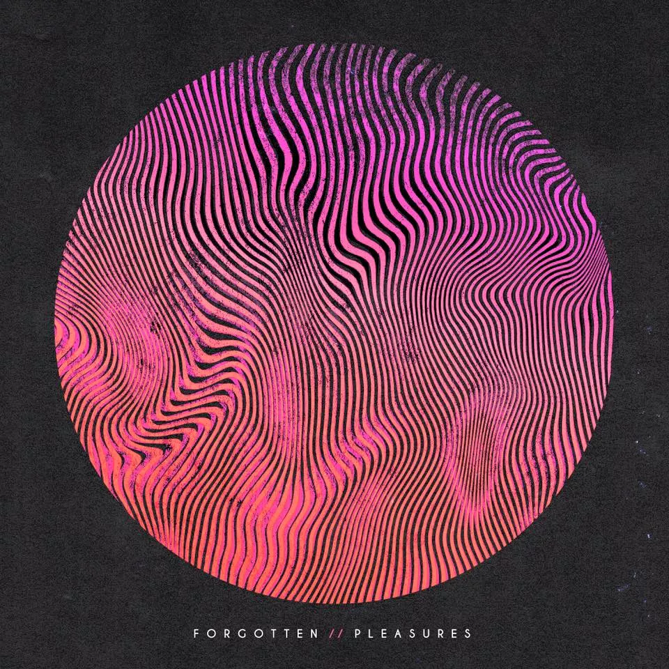 Forgotten Pleasures - Findlay