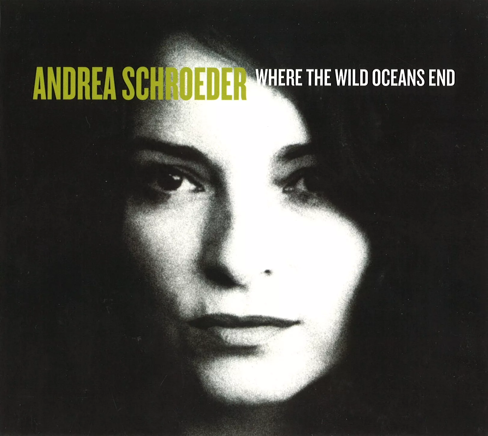 Where The Wild Oceans End - Andrea Schroeder