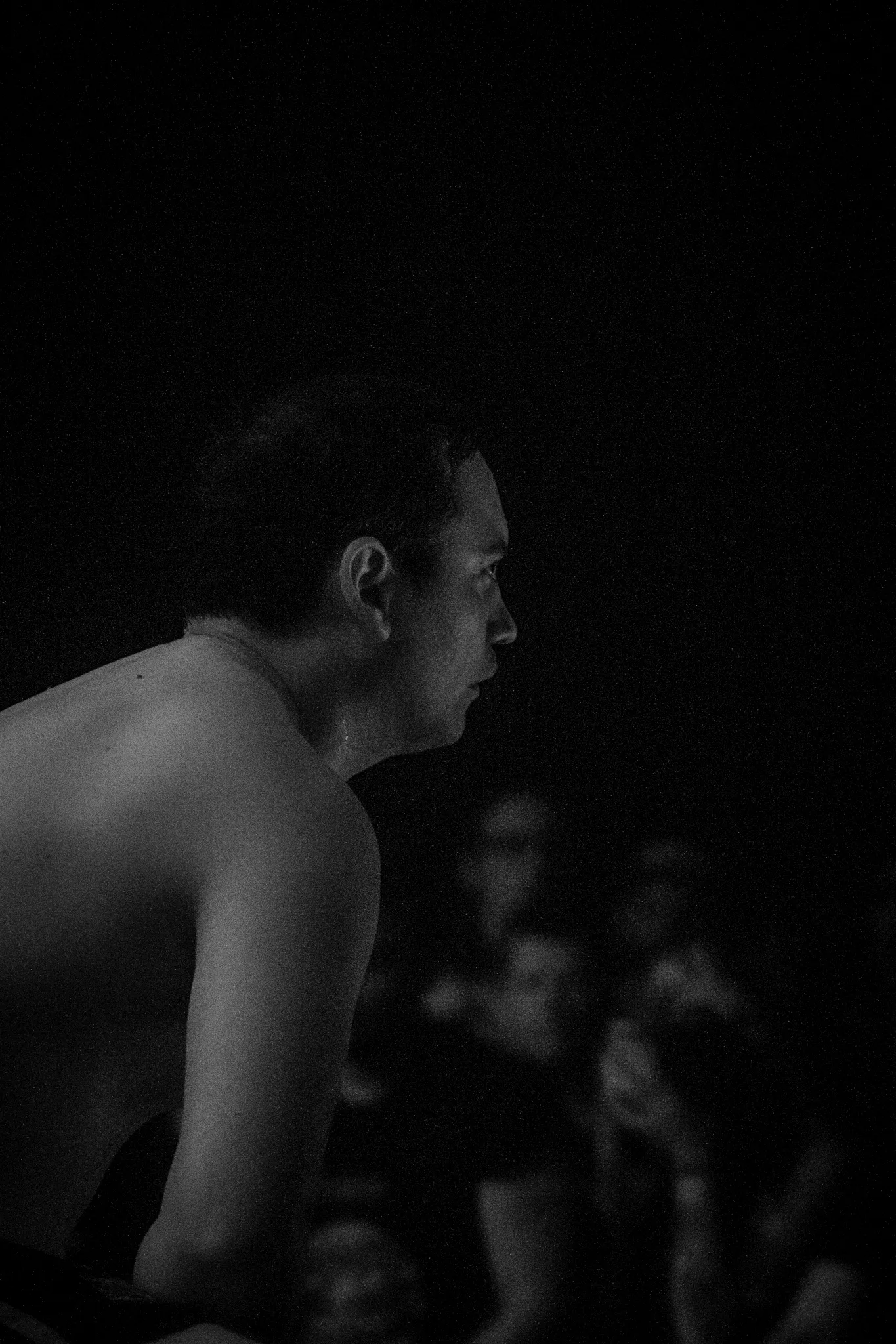 Hvor mange grise skal der til at skifte en pære?