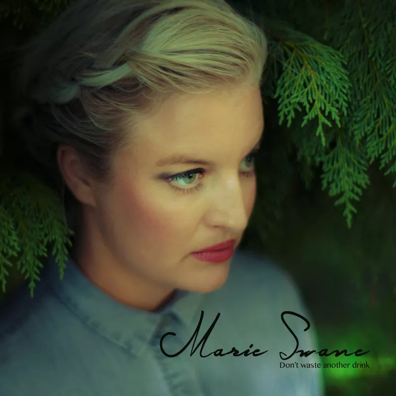Don't Waste Another Drink - Marie Swane