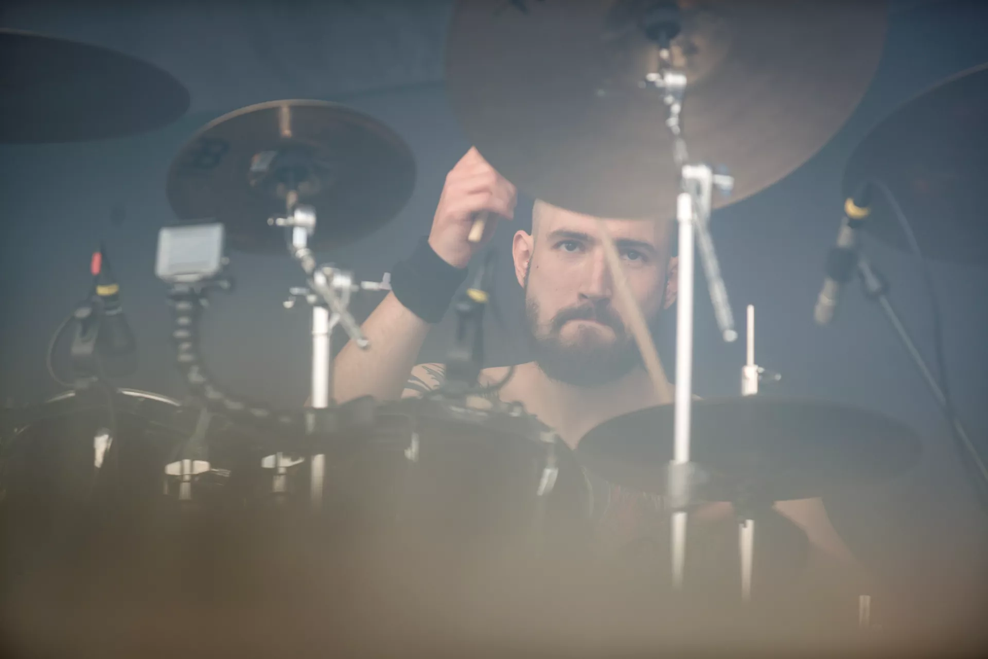 Et vådt væsen ud i lyset